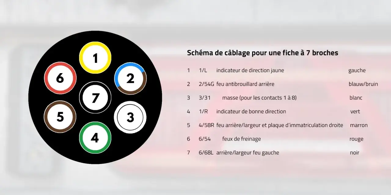 Schéma de câblage pour une fiche à 7 broches, montrant les numéros et couleurs des fils pour les feux de remorque.
