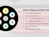 Schéma de câblage pour une fiche à 7 broches, montrant les numéros et couleurs des fils pour les feux de remorque.
