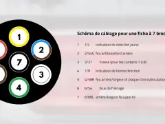 Schéma de câblage pour une fiche à 7 broches, montrant les numéros et couleurs des fils pour les feux de remorque.