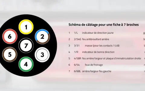 Schéma de câblage pour une fiche à 7 broches, montrant les numéros et couleurs des fils pour les feux de remorque.
