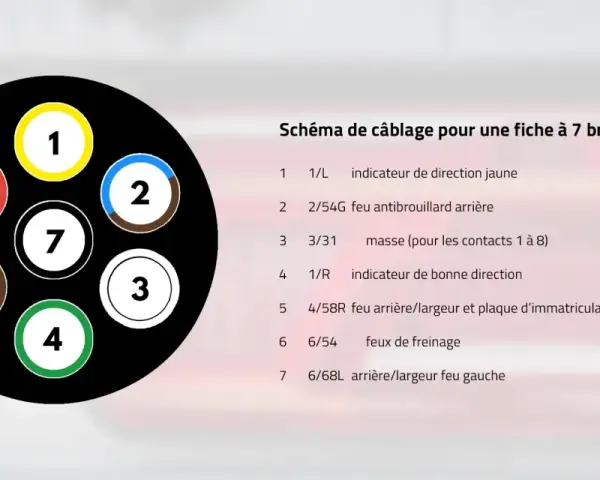 Schéma de câblage pour une fiche à 7 broches, montrant les numéros et couleurs des fils pour les feux de remorque.