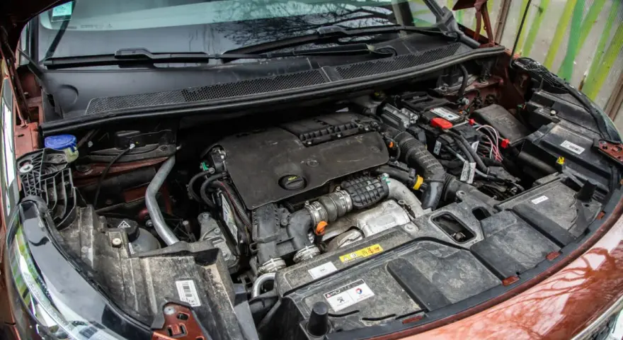 Vue rapprochée du moteur d'une voiture, prêt pour un nettoyage. On voit le bloc moteur, la batterie et divers composants.