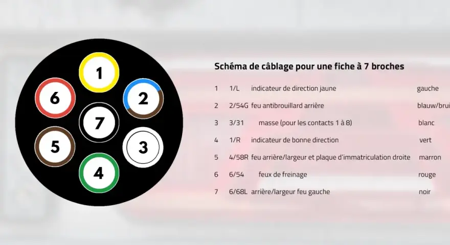 Schéma de câblage pour une fiche à 7 broches, montrant les numéros et couleurs des fils pour les feux de remorque.