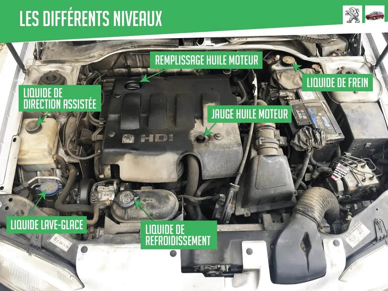 Moteur ouvert, repères pour le liquide de direction assistée, lave-glace, refroidissement, frein et huile. Un manque de liquide de direction assistée peut causer une direction dure.