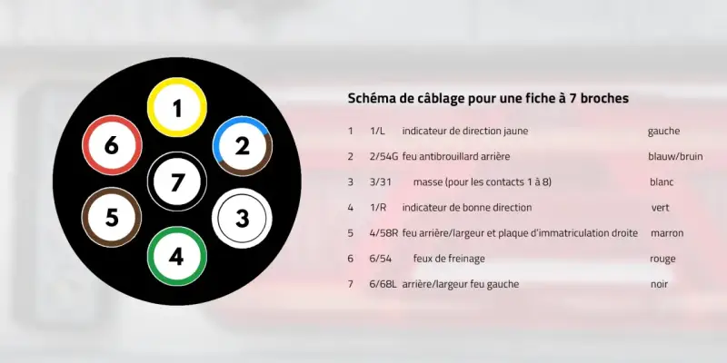 Schéma de câblage pour une fiche à 7 broches, montrant les numéros et couleurs des fils pour les feux de remorque.